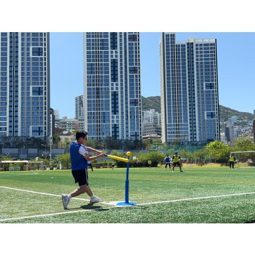 김태희
